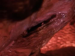 extant_HerculesAndTheLostKingdom_3413