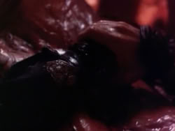 extant_HerculesAndTheLostKingdom_3422