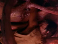 extant_HerculesAndTheLostKingdom_3461