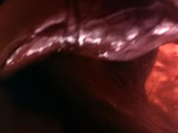 extant_HerculesAndTheLostKingdom_3465