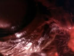 extant_HerculesAndTheLostKingdom_3471
