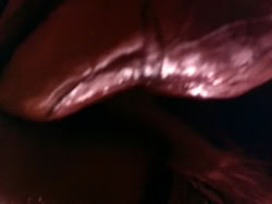 extant_HerculesAndTheLostKingdom_3472