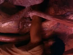 extant_HerculesAndTheLostKingdom_3474