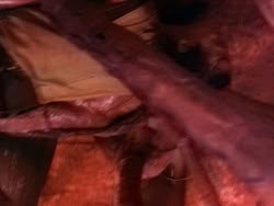 extant_HerculesAndTheLostKingdom_3475