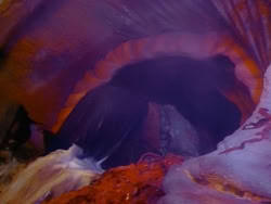 extant_HerculesAndTheLostKingdom_3513