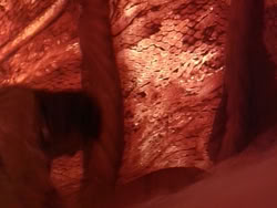 extant_HerculesAndTheLostKingdom_3514