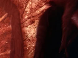extant_HerculesAndTheLostKingdom_3520
