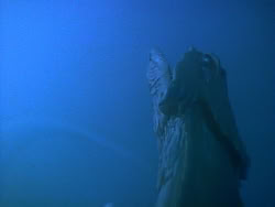 extant_HerculesAndTheLostKingdom_3522