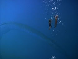 extant_HerculesAndTheLostKingdom_3527