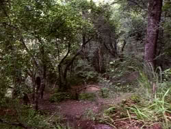 extant_HerculesAndTheLostKingdom_3606