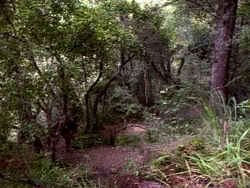 extant_HerculesAndTheLostKingdom_3607