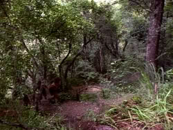 extant_HerculesAndTheLostKingdom_3608