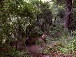 extant_HerculesAndTheLostKingdom_3610