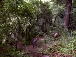 extant_HerculesAndTheLostKingdom_3611