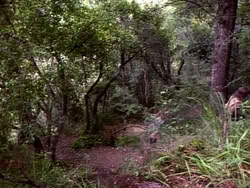 extant_HerculesAndTheLostKingdom_3612