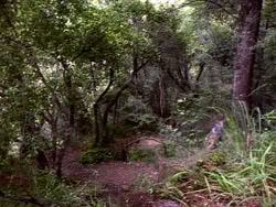 extant_HerculesAndTheLostKingdom_3613