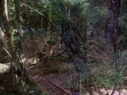 extant_HerculesAndTheLostKingdom_3614