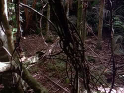 extant_HerculesAndTheLostKingdom_3615