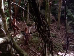 extant_HerculesAndTheLostKingdom_3617