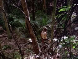 extant_HerculesAndTheLostKingdom_3623