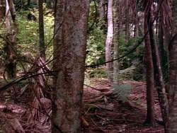 extant_HerculesAndTheLostKingdom_3632