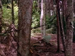 extant_HerculesAndTheLostKingdom_3633