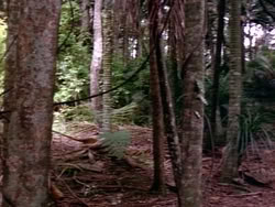 extant_HerculesAndTheLostKingdom_3634