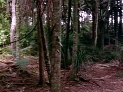 extant_HerculesAndTheLostKingdom_3635