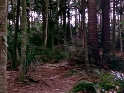 extant_HerculesAndTheLostKingdom_3637