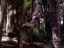 extant_HerculesAndTheLostKingdom_3655