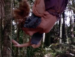 extant_HerculesAndTheLostKingdom_3660