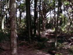 extant_HerculesAndTheLostKingdom_3722