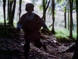 extant_HerculesAndTheLostKingdom_4111