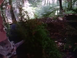 extant_HerculesAndTheLostKingdom_4133