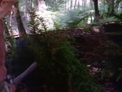 extant_HerculesAndTheLostKingdom_4134