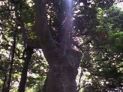 extant_HerculesAndTheLostKingdom_4819