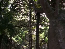 extant_HerculesAndTheLostKingdom_4823