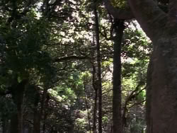 extant_HerculesAndTheLostKingdom_4824