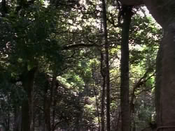 extant_HerculesAndTheLostKingdom_4825