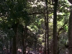 extant_HerculesAndTheLostKingdom_4826