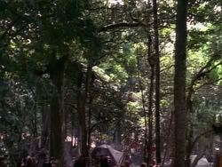 extant_HerculesAndTheLostKingdom_4827