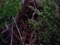extant_HerculesAndTheLostKingdom_4961