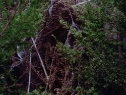 extant_HerculesAndTheLostKingdom_4962