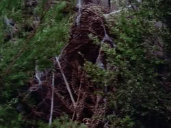 extant_HerculesAndTheLostKingdom_4963