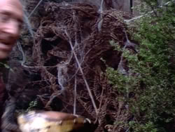 extant_HerculesAndTheLostKingdom_4964
