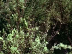 extant_HerculesAndTheLostKingdom_5010