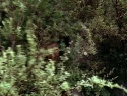 extant_HerculesAndTheLostKingdom_5011
