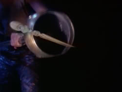 extant_HerculesAndTheLostKingdom_5285