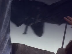 extant_HerculesAndTheLostKingdom_5751