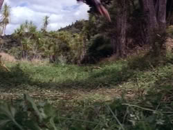 extant_HerculesAndTheLostKingdom_6200